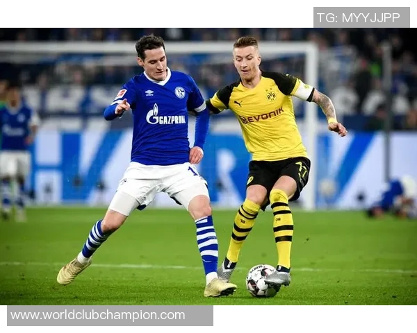 多特蒙德与沙尔克精彩对决集锦回顾赛场瞬间尽在眼前