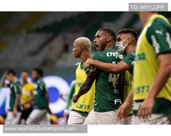 巴伊亚与帕尔梅斯激战正酣谁将赢得这场巴西足球盛宴